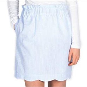 Lauren James Seersucker skirt-light blue
